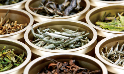 杜國楹 以創(chuàng)新重塑品牌認(rèn)知，憑品質(zhì)成就茶葉價值