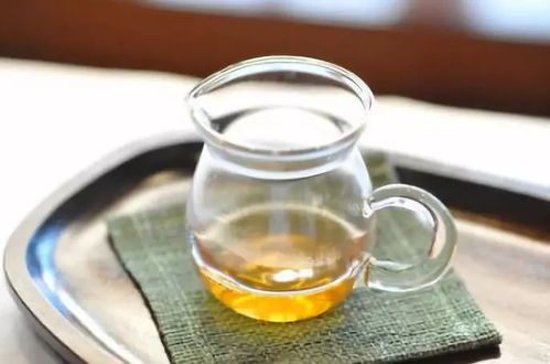 普洱茶 是紅茶還是綠茶？——探究普洱的獨特分類與日常品飲之道