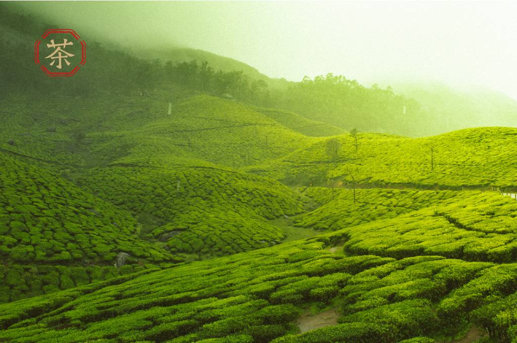 職人故事 | 自家茶山 這盒為辦公而生的定制茶，滿載自家風(fēng)土的味道
