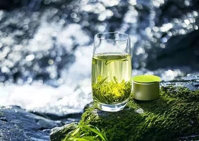 湖南農大專家在茶葉中發現新型成分，助力預防肌肉萎縮，未來或可開發為辦公健康產品