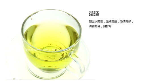 與山共飲，一葉知心——溪源茶葉產(chǎn)品圖賞與意境店鋪設(shè)計解析